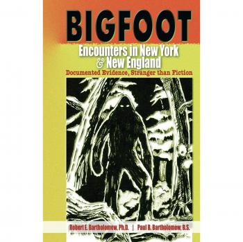 Bigfoot Encounters in New York & New England: Documented Evidence and True Stories Paperback