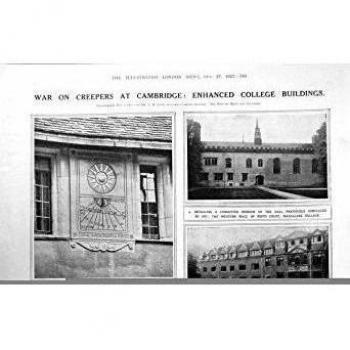 Imprima a Mme Vestris 1923 749RP263 de las Enredaderas de los Edificios de la Universidad de Restorated Cambridge