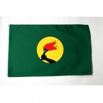AZ FLAG Bandera de Zaire 150x90cm - Bandera CONGOLEÑA 90 x 150 cm