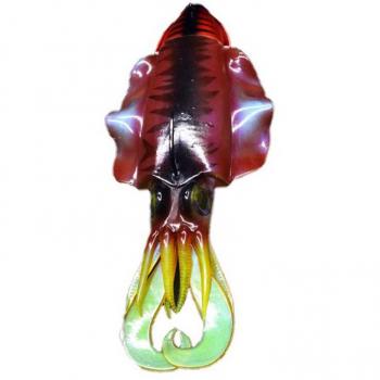JLC Sepia Vinilo Cebo Blando Pesca Jigging 215 mm