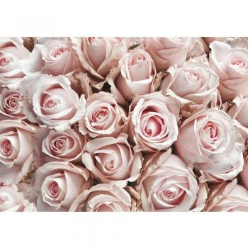 Liwwing FTVLPP-0189-350x245 - Vellón fotografía de fondo 350x245 cm - cima! premium plus fondo de pantalla! murales de papel tapiz mural foto mural de la pared del papel pintado de la pared de flores wanddeko amor flor xxl - sin 189º
