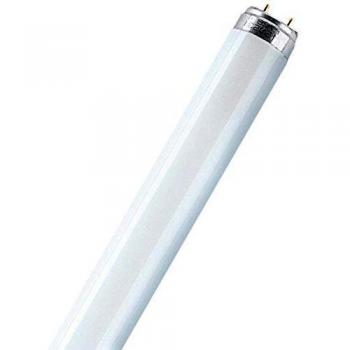 Osram LUMILUX T8 - Lámpara fluorescente, G13L 36 W/827
