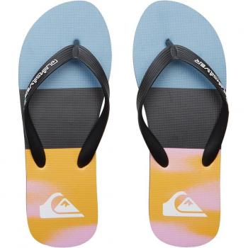 Quiksilver - Chanclas de hombre Molokai Stripe