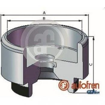 Émbolo de pinza de freno AUTOFREN SEINSA D025721