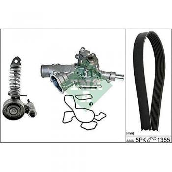 Ina 529 0047 30 Refrigerantes del Motor