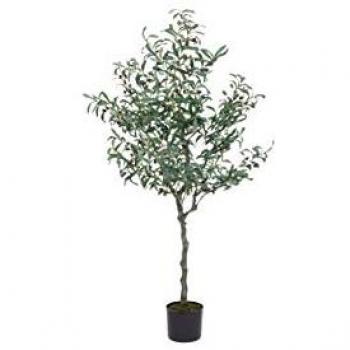 Planta de Olivo con Maceta Negra 156 cm