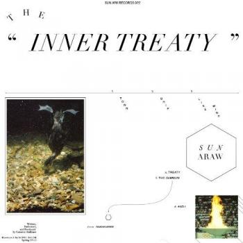 Tratado Interno - Vinilo
