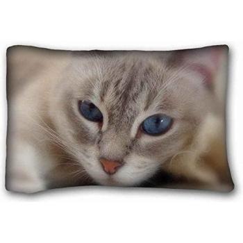 Soft Pillow Case Cover ( Animals cat blue ) Custom Cotton & Polyester Soft Rectangle Pillow Case Cover 20x30 inches (One Side) suitable for Full-bed PC-Bluish-32014
