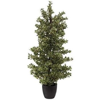 Europalms - Ficus Decorativo
