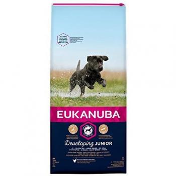 Eukanuba Junior Dog Food For Large Dogs Rich In Fresh Chicken For the Optimal Body Condition of Your Dog, 12 kg