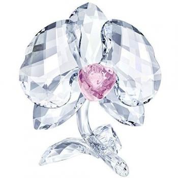 Cristal de orquídea Swarovski Multicolor 6,5 x 5,6 x 5,5 cm