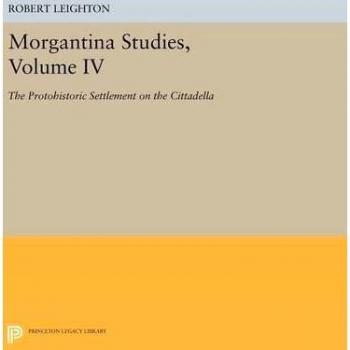 Morgantina studies: The Protohistoric Settlement on the Cittadella: 10
