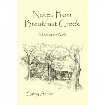 Breakfast Creek Insights: A Global Perspective by Cathy Salter