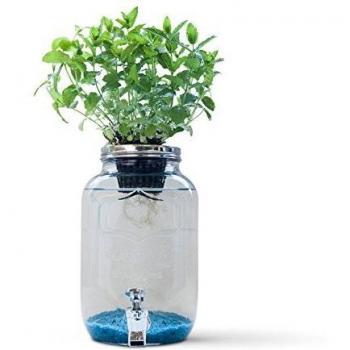 Resetea Blue Jar Sistema de hidroponía Creativa, 4 litros