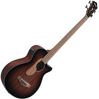 Ibanez AEGB24E-MHS