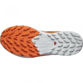 Salomon - Zapatillas de trail running de hombre Sense Ride 5 Gore-Tex, color India Ink/Carbon/Dragon Fire, talla 44 EU