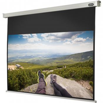 Celexon Electric Professional Pantalla de Proyección Eléctrica 280x158cm