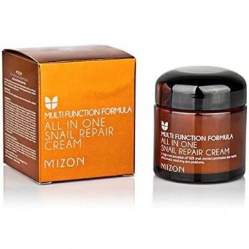 Mizon All In One Snail Repair Cream 75g - Moisturizing Facial Cream with Snail Mucin Extract, Wrinkle and Spot Care, Korean Cosmetic