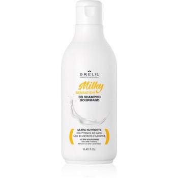 Brelil Professional Milky Sensation BB Regenerating Shampoo for Weak and Damaged Hair 250 ml
