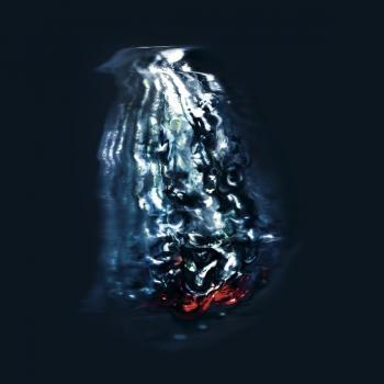 Clear Stones Vinyl by Fis/Rob Thorne