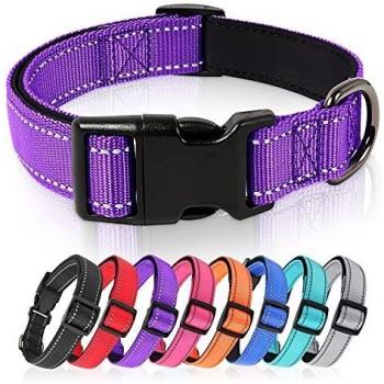 HEELE Collar Perro, Collar Nylon Reflectante Neopreno Forrado Ajustable para Perro Pequeño, Morado, S