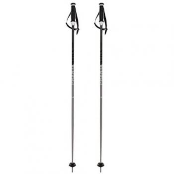Bastones Völkl Phantastick 16 mm gris (par) - 120