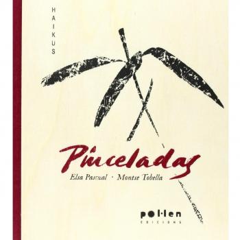Pinceladas