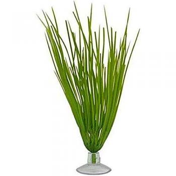 Marina Plantas con Ventosa Hairgrass, Verde, 5-Inch Tall