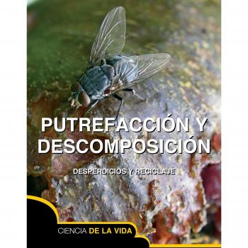 Putrefacción y descomposición / Rot and Decay: Una Historia De Muerte, Carroneros Y Reciclaje
