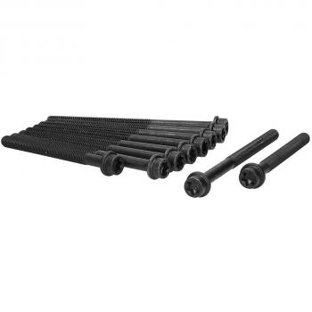 Juego de tornillos de culata AJUSA 81025100 para FORD: Transit Connect Mk1 Van, MONDEO 4, Focus C-Max