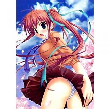 Akane Iro ni Somaru Saka (14x20 inch, 35x49 cm) Silk Poster Seda Cartel PJ16-546D
