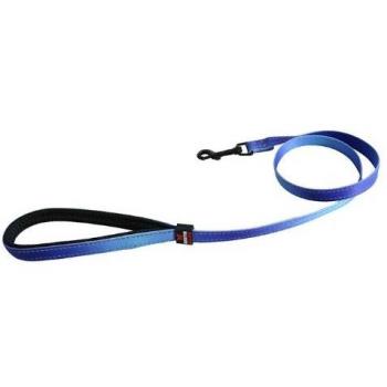 Correa de nylon para perros Martin Sellier Reflex Azul 25 mm 1 m