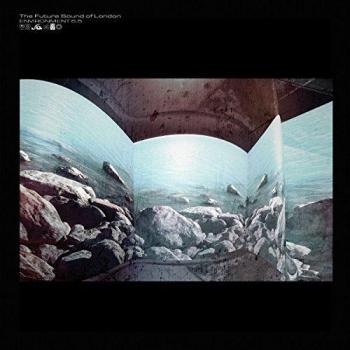 Environment 6.5 [VINYL]