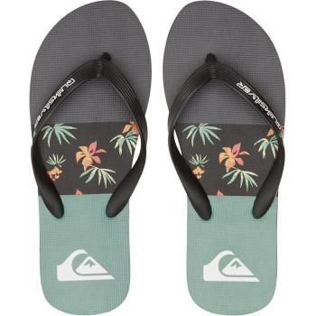 Chanclas Baño_Hombre_QUIKSILVER Molokai Stripe