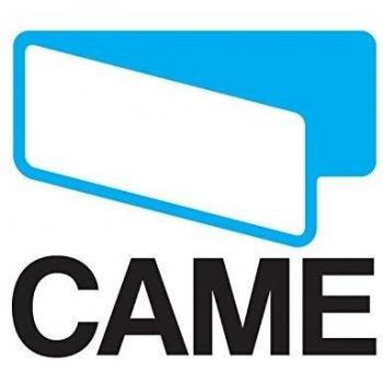 Came Scheda Electrónica de Recambio para Lampeggiatore LED Kiaron 220V 119RIR454