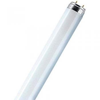Osram LUMILUX T8 - Lámpara fluorescente, G13L 58 W/827