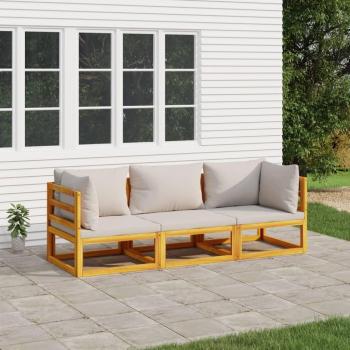 3-Piece Solid Wood Garden Lounge Set with Light Grey Cushions