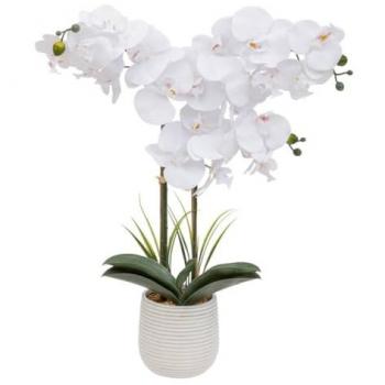 Orquídea Artificial Riva en Maceta de Cerámica - Altura 60 cm/65 cm