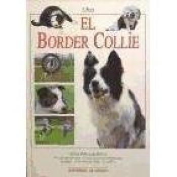 Border collie, el