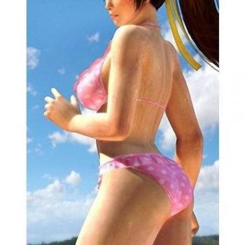 14x18 inch Dead or Alive 5 Silk Poster Seda Cartel DGS1-437