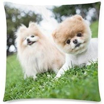 Cute Puppy Perro de Boo - Funda de cojín cuadrado almohada funda Throw Cojín 18 x 18 pulgadas, Funda de almohada con cremallera invisible, twin-sided de la Impresión