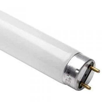 Osram LUMILUX Deluxe T8 G13L 36W/940 - Lámpara fluorescente