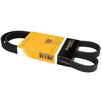 CONTITECH 5PK1135