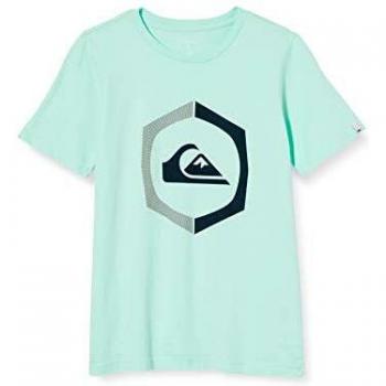 Quiksilver Sure Thing - Camiseta para Chicos 8-16 Screen tee, Niños, Beach Glass, S/10