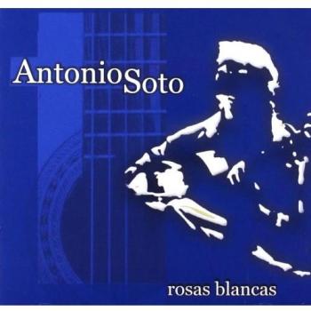 Rosas Blancas