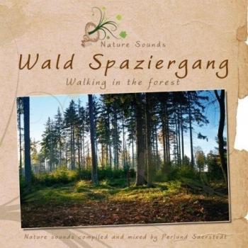Wald Spaziergang