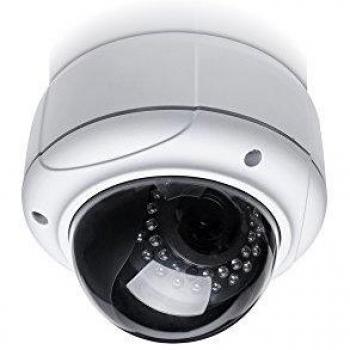 ASSMANN Electronic Plug&View OptiDome Pro - Cámara de vigilancia