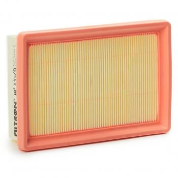 Filtro de aire FILTRON AP 133/9 con alta eficiencia de filtración, diseño optimizado para un flujo de aire mejorado, compatible con múltiples modelos de vehículos, fabricado con materiales de calidad para una mayor durabilidad y rendimiento