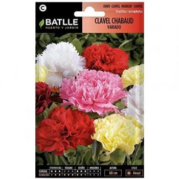 Semillas de Flores - Clavel Chabaud Doble variado - Batlle