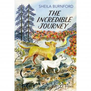 The Incredible Journey
